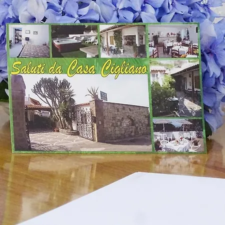 Casa Cigliano Hotel Forio  Exterior photo
