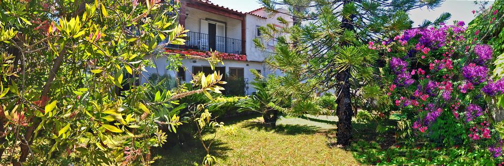 Casa Cigliano Hotel Forio di Ischia
